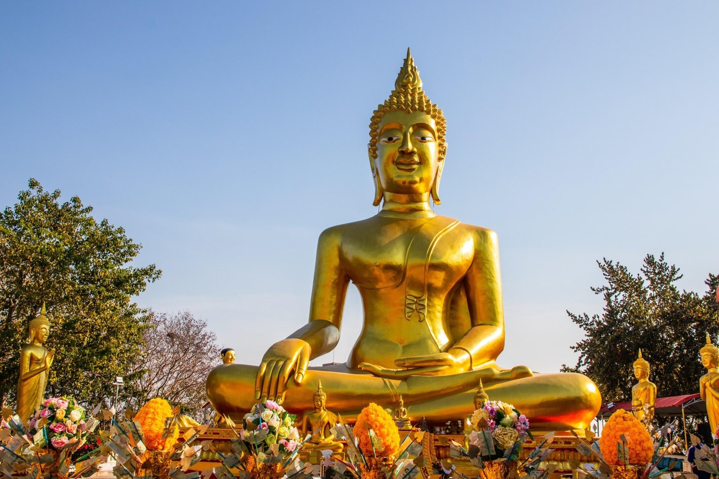 Thai Treasures: City Lights & Coral Nights